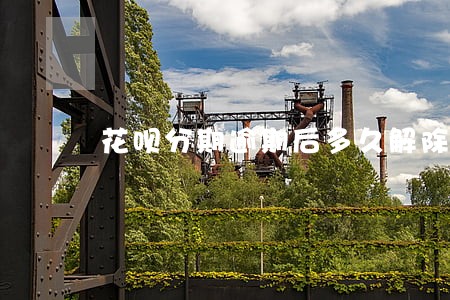花呗分期逾期后多久解除冻结 花呗分期逾期后多久解除冻结