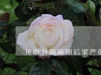 花呗分期逾期后果严重 花呗分期逾期后果严重