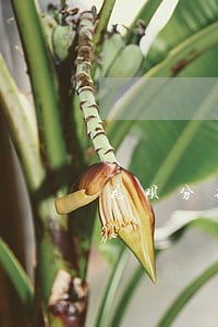 花呗分期逾期多久会让全部还款 花呗分期逾期多久会让全部还款