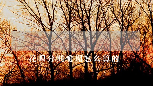 花呗分期逾期怎么算的 花呗分期逾期怎么算的