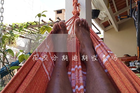 花呗分期逾期收费吗 花呗分期逾期收费吗