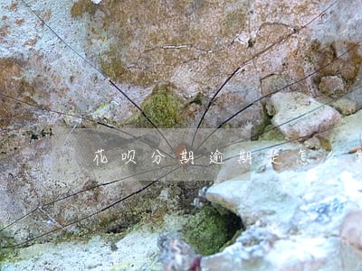 花呗分期逾期是怎么算的 花呗分期逾期是怎么算的