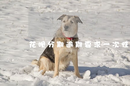 花呗分期逾期要求一次性结清 花呗分期逾期要求一次性结清