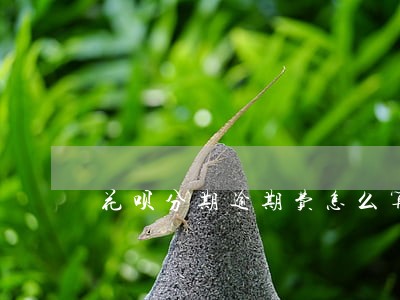 花呗分期逾期费怎么算的