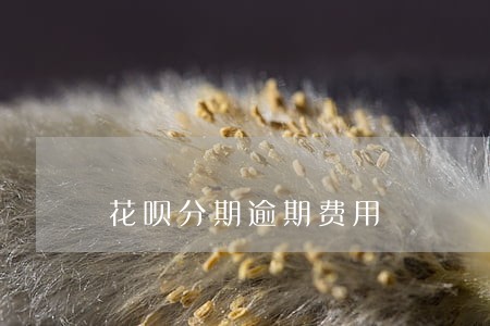 花呗分期逾期费用 花呗分期逾期费用