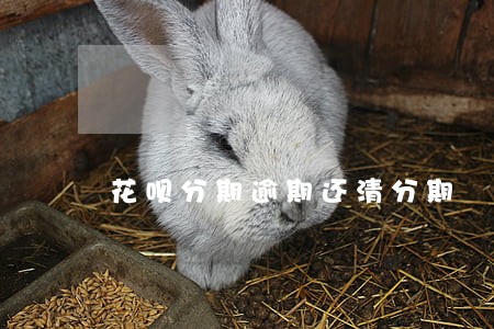花呗分期逾期还清分期 花呗分期逾期还清分期