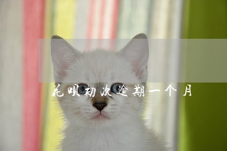 花呗初次逾期一个月 花呗初次逾期一个月