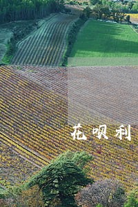 花呗利息逾期后果 花呗利息逾期后果