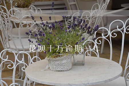 花呗十万逾期一年 花呗十万逾期一年