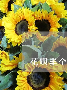 花呗半个月逾期怎么办 花呗半个月逾期怎么办