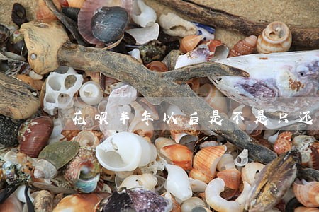 花呗半年以后是不是只还本金
