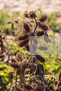花呗及网商贷逾期 花呗及网商贷逾期