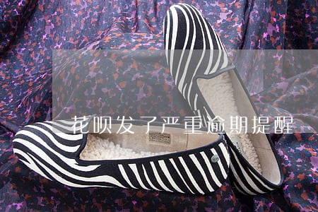 花呗发了严重逾期提醒 花呗发了严重逾期提醒