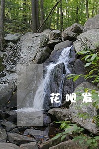 花呗发信息说逾期当天还清