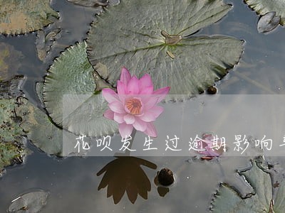 花呗发生过逾期影响车贷吗 花呗发生过逾期影响车贷吗