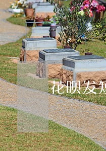 花呗发短信说我严重逾期 花呗发短信说我严重逾期