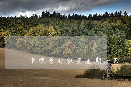 花呗另时额度逾期一天 花呗另时额度逾期一天