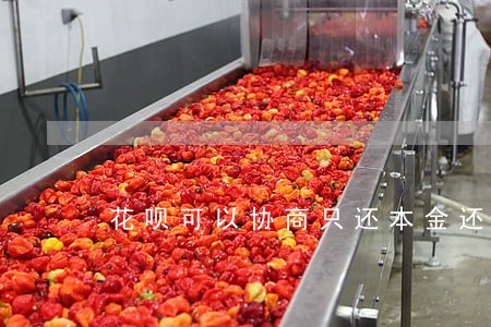 花呗可以协商只还本金还款吗 花呗可以协商只还本金还款吗