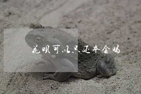 花呗可以只还本金吗 花呗可以只还本金吗