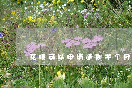 花呗可以申请逾期半个月吗 花呗可以申请逾期半个月吗
