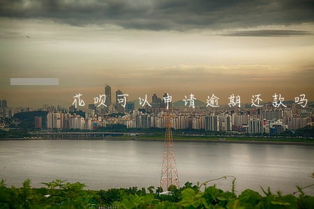 花呗可以申请逾期还款吗