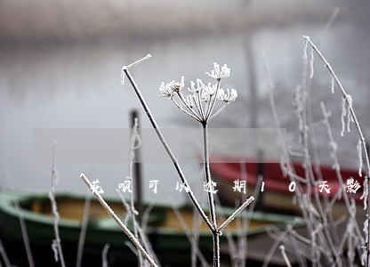 花呗可以逾期10天影响信用吗 花呗可以逾期10天影响信用吗
