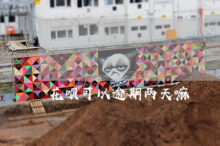 花呗可以逾期两天嘛 花呗可以逾期两天嘛