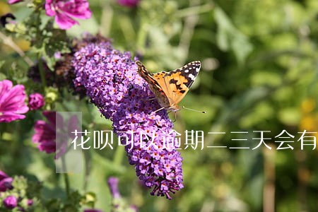 花呗可以逾期二三天会有事吗 花呗可以逾期二三天会有事吗