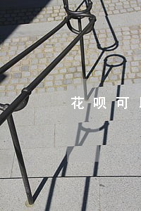 花呗可以逾期五天