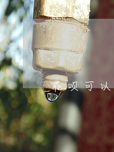 花呗可以逾期半年吗 花呗可以逾期半年吗