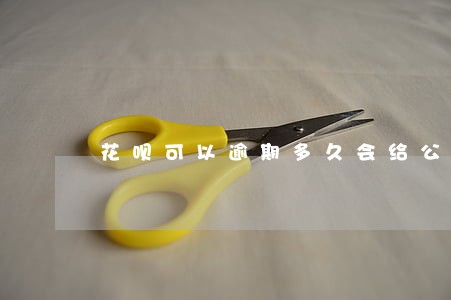 花呗可以逾期多久会给公司打电话 花呗可以逾期多久会给公司打电话