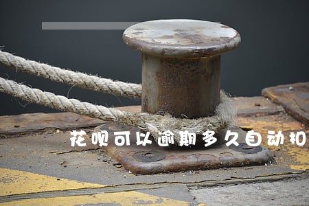 花呗可以逾期多久自动扣款
