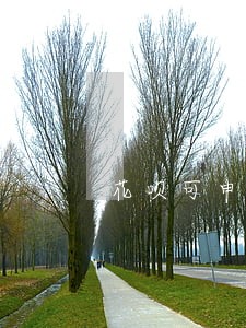 花呗可申请逾期几天吗 花呗可申请逾期几天吗