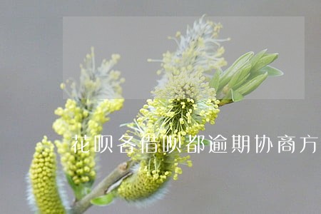 花呗各借呗都逾期协商方式一样吗 花呗各借呗都逾期协商方式一样吗