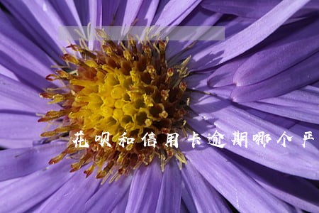 花呗和信用卡逾期哪个严重 花呗和信用卡逾期哪个严重
