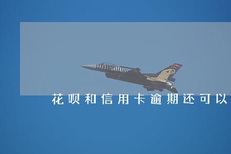 花呗和信用卡逾期还可以借嘛 花呗和信用卡逾期还可以借嘛