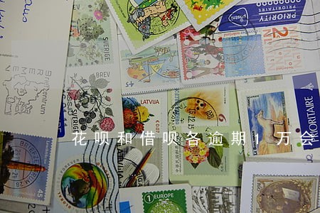 花呗和借呗各逾期1万会上门吗 花呗和借呗各逾期1万会上门吗