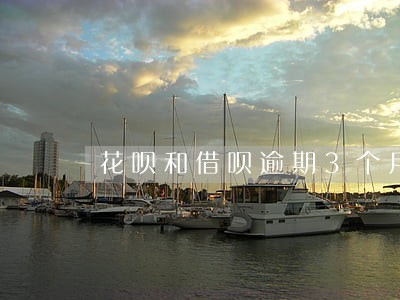 花呗和借呗逾期3个月可以协商吗 花呗和借呗逾期3个月可以协商吗