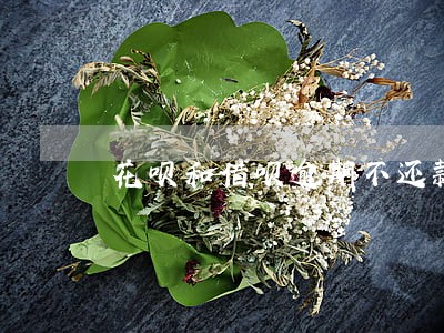 花呗和借呗逾期不还款后果 花呗和借呗逾期不还款后果