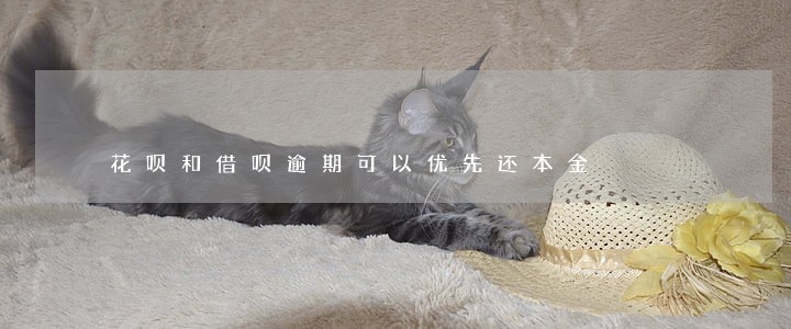 花呗和借呗逾期可以优先还本金 花呗和借呗逾期可以优先还本金
