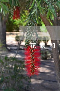 花呗和借呗逾期后对以后买车