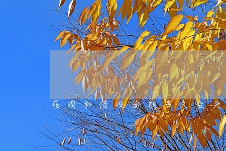 花呗和借呗逾期多久会关闭