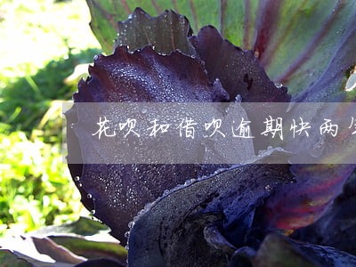 花呗和借呗逾期快两年 花呗和借呗逾期快两年