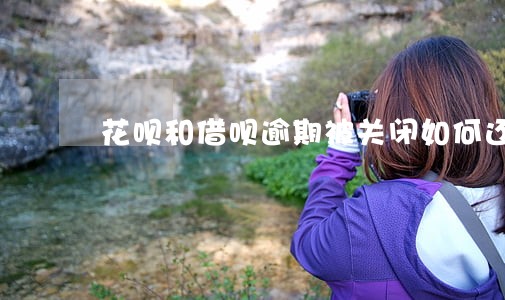 花呗和借呗逾期被关闭如何还款 花呗和借呗逾期被关闭如何还款