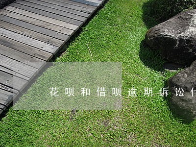 花呗和借呗逾期诉讼什么情况 花呗和借呗逾期诉讼什么情况