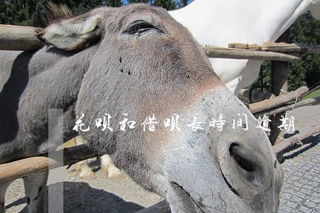 花呗和借呗长时间逾期 花呗和借呗长时间逾期