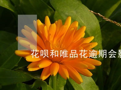 花呗和唯品花逾期会影响买房么 花呗和唯品花逾期会影响买房么