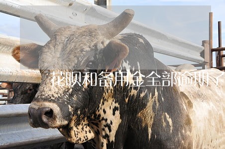 花呗和备用金全部逾期了 花呗和备用金全部逾期了