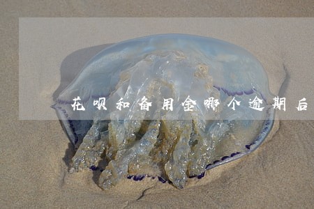 花呗和备用金哪个逾期后果严重 花呗和备用金哪个逾期后果严重