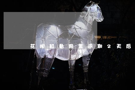 花呗和备用金逾期2天后果